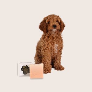 Pet Soap R-ruff